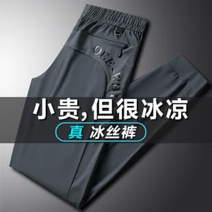 Ice Silk Long Pants Men's Summer Plus Size Casual Pants Loose Straight High Elasticity Quick-Dry Sports Pants Solid Color Air Conditioning Pants