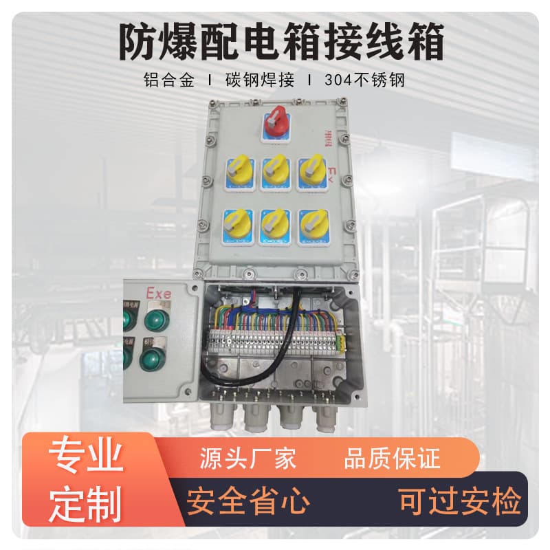 Explosion-Proof Distribution Box, Explosion-Proof Distribution Cabinet, Explosion-Proof Anti-Corrosion Inspection Box, Power Switch Control Box, Stainless Steel Socket Cabinet