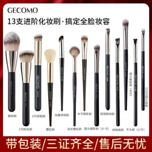 GECOMO Makeup Brush Single and Set for Beginners Powder Brush Concealer Brush Blush Brush Eyeshadow Brush Affordable Beauty Brushes