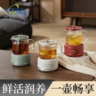 Home Multifunctional Small Health Pot Mini Electric Stew Cup Office Stew and Boil Integrated Automatic Electric Tea Maker