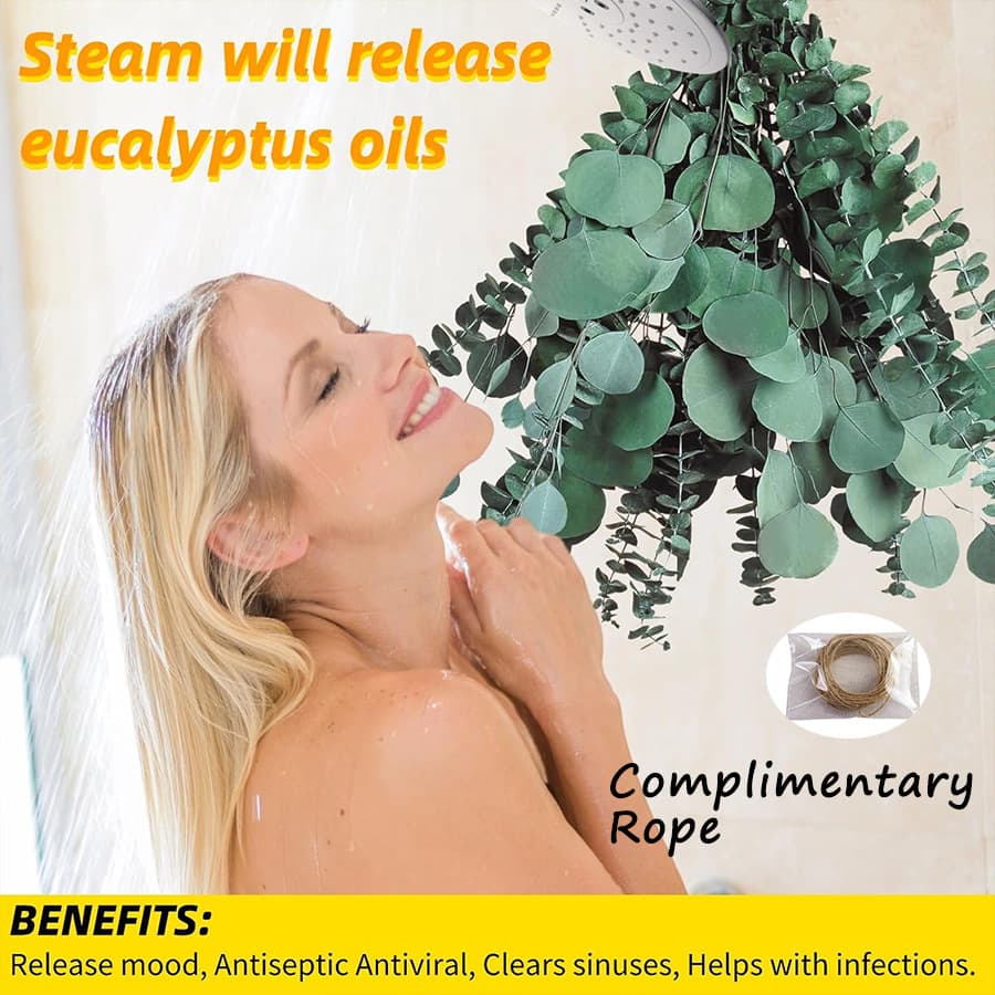 Yunnan manufacturer cross-border labeling eucalyptus preserved eucalyptus coin eucalyptus apple leaf eucalyptus bouquet dropshipping