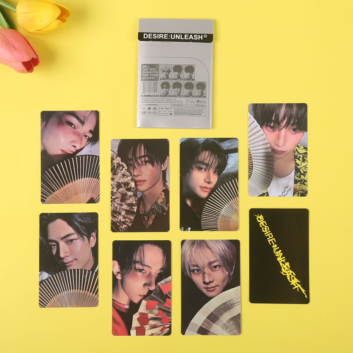 ENHYPEN Lee Hee-seung, Park Sung-hoon, Park Jong-sung, 6th DESIRE Album Photocard