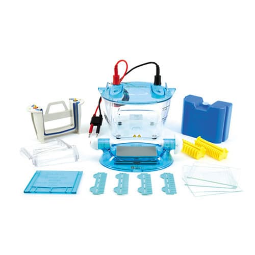 Liuyi DYCP-31C Agarose Horizontal Electrophoresis Tank, capable of running double rows of gels.