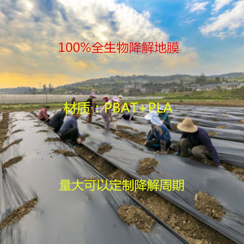 Fully Biodegradable Agricultural Mulch Film, Black and White Films for Greenhouse Vegetables and Fruits, Eco-Friendly Plastic Film