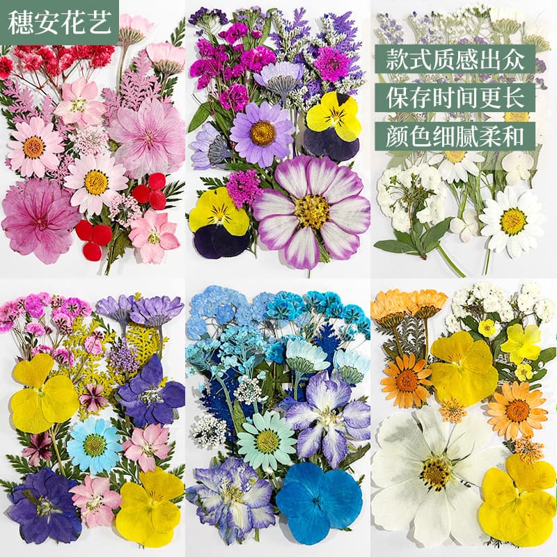 Handmade Dried Flower DIY Kit Vacuum Packed Dried Flower Frame DIY Kit Multi-Specification Dried Flowers Preserved Flowers