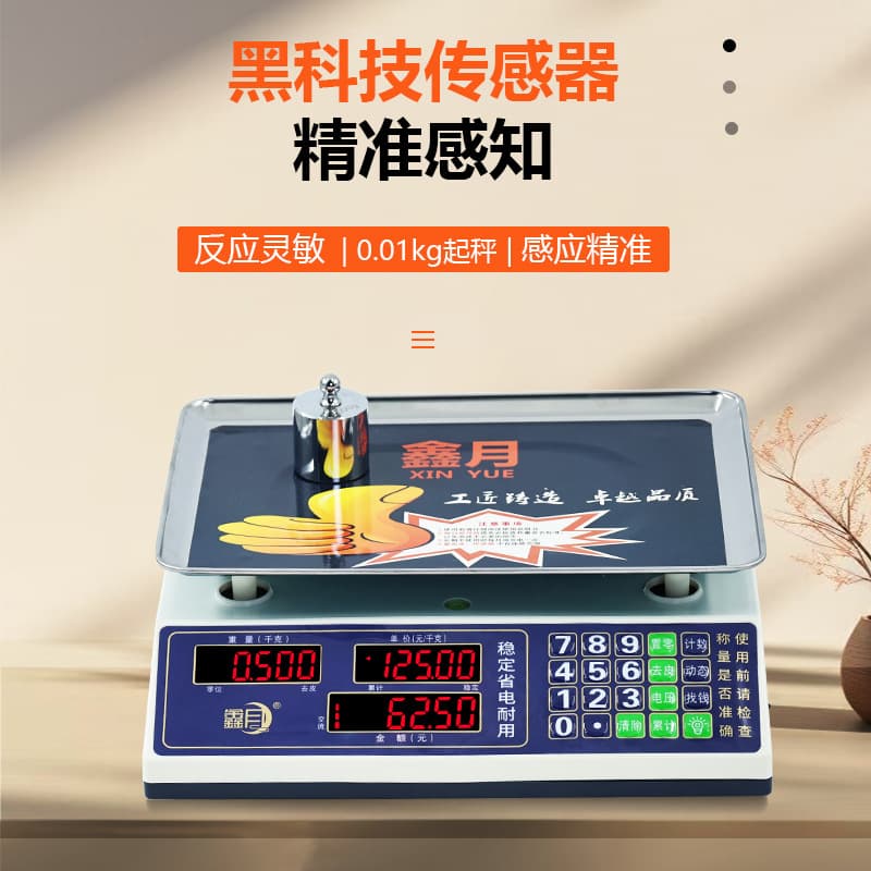 Xinyue 30kg Waterproof Scale Commercial Electronic Scale Free Shipping High Precision Fruit Selling Stall Portable Accurate Electronic Scale
