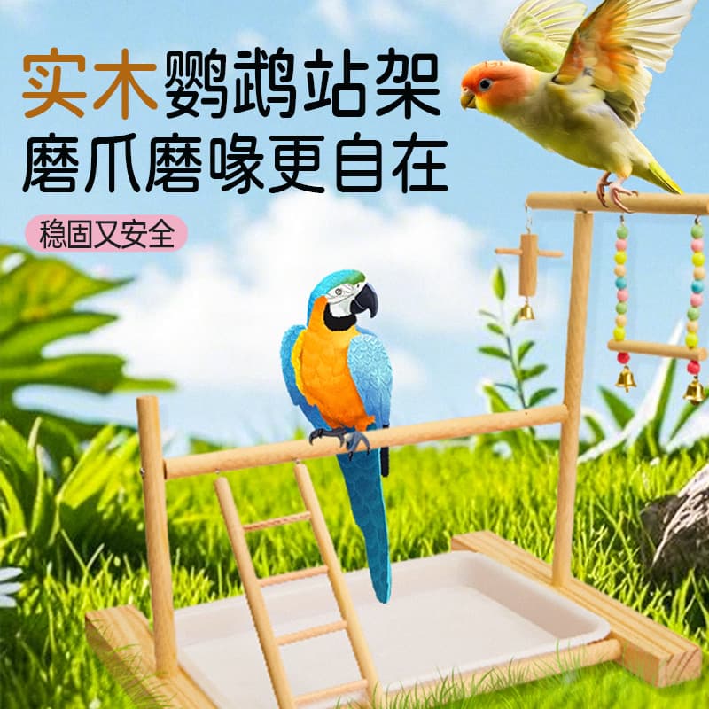 Interactive Platform Woodpecker Perch Stand for Budgie, Lovebird, Cockatiel - Solid Wood Ladder with Nail Trimming
