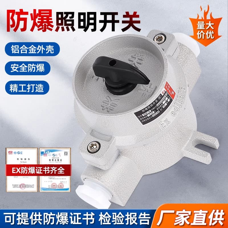 Explosion-Proof Switch 220V Rocker Type Explosion-Proof Wall Switch Single Double Triple Quadruple Explosion-Proof Lighting Switch