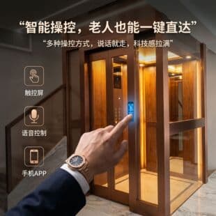 Home Elevator Villa Elevator Self-Built House 2-5 Story Small Hydraulic Traction Machine Room-Less Home Elevator