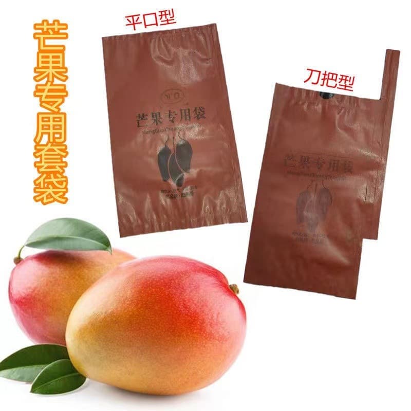 Special Mango Bags, Golden Mango Paper Sleeves for Bird and Pest Protection, Including Ivory and Keitt Varieties