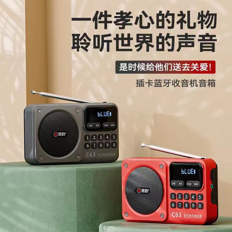 2025 New Arrival Langyun C63 Rechargeable Bluetooth Speaker Professional Radio MP3 Player with TF Card Support
