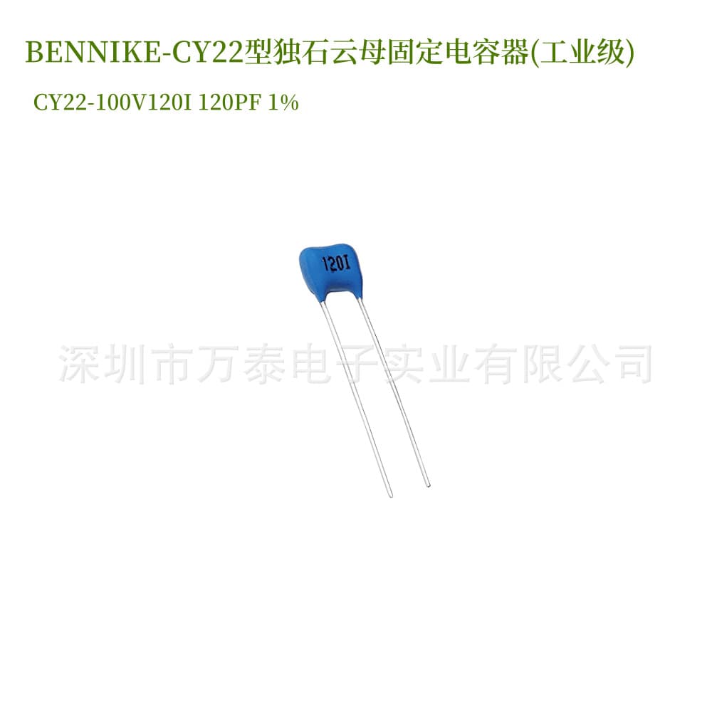 CY22 Silver Mica Capacitor 100V 120i 120pF 5mm Lead Spacing Monolithic Mica Fixed Capacitor 1%