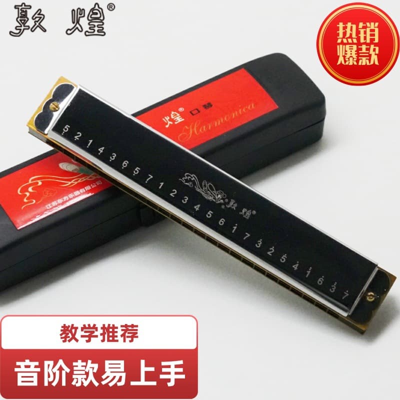 Factory Direct Dunhuang Brand 24-Hole Tremolo Harmonica for Children and Adults Beginner Practice Instrument