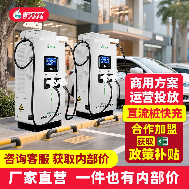 Fast Charging Station 60KW | 80 | 120kw | 160 | 240KW Dual-Gun DC New Energy Vehicle Charging Station