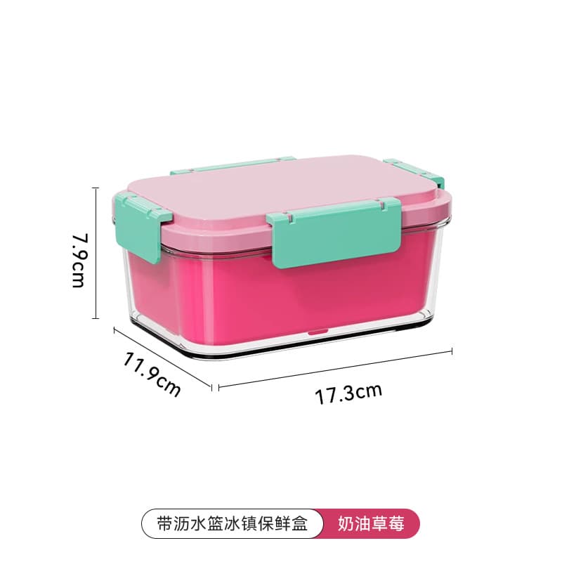 Fruit Freshness Container, Food-Grade Plastic Sealed Compartment Bento Box for Outdoor Camping and Refrigerator Storage