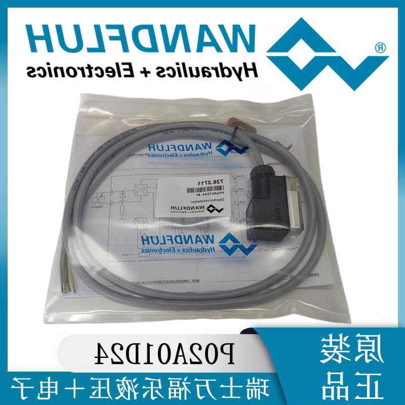 WANDFLUH Switzerland P02A01D24 Proportional Valve Amplifier Plug Amplifier Welcome Price Comparison