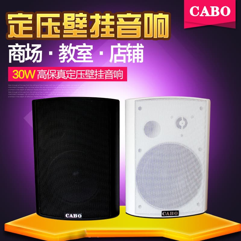 CABO KD-711/KD-712 High-Power Wall-Mounted Speaker 30W/40W Public Broadcast Wall-Mounted Audio