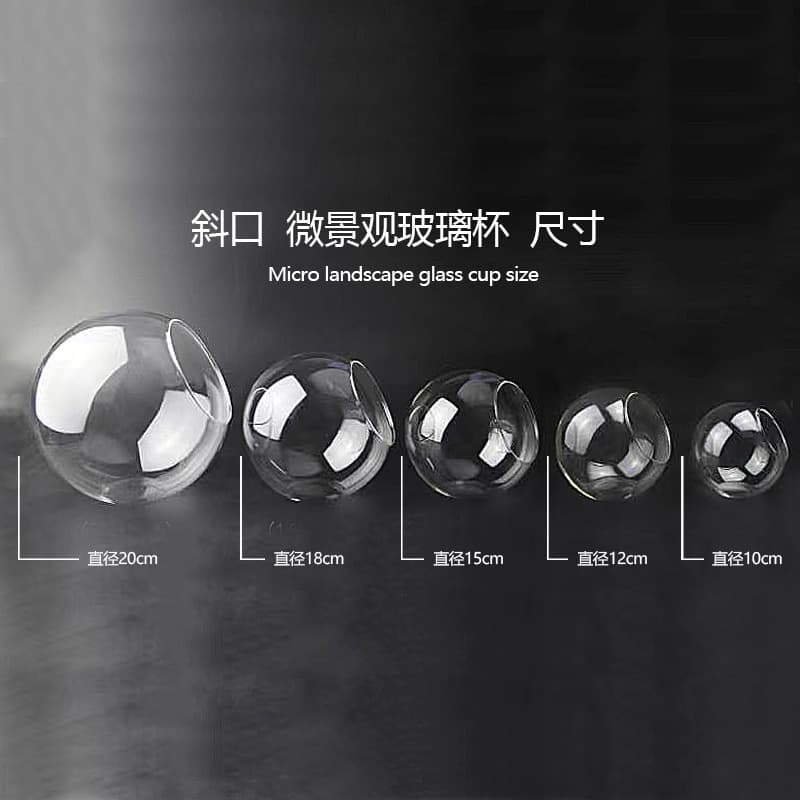 Clear Round Slanted Glass Vase Mini Landscape Ecological Terrarium Succulent Vase Hydroponic Flower Vessel Home Decoration Craft