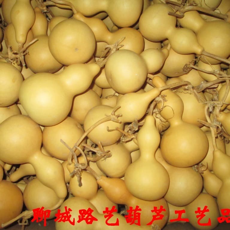 Factory direct sales of natural, waisted gourds; gourd crafts and ornaments; white-skinned gourds; hot-selling wholesale at street stalls.
