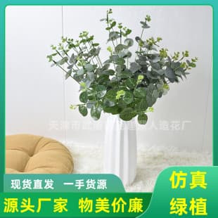 Money Leaf Artificial Green Plant Potted Plant Factory Wholesale Various Artificial Flower Arrangement Materials Hot Selling Eucalyptus Bundle