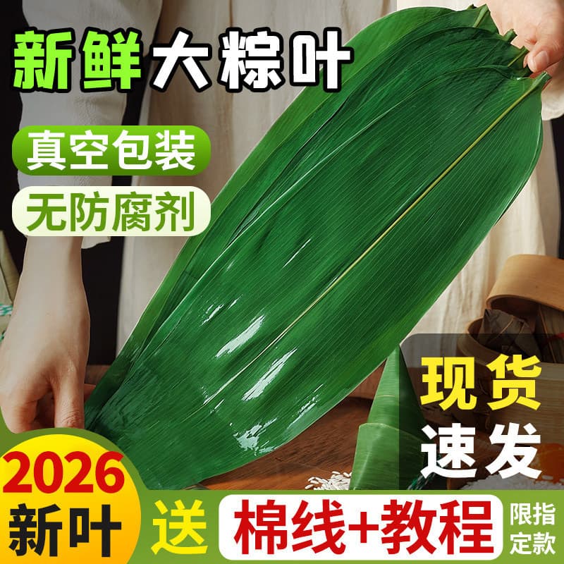 Fresh Large Reed Leaves for Zongzi Wrapping, Premium Bamboo Leaves, Bulk Wholesale, Vacuum Packed, Special for Making Rice Dumplings