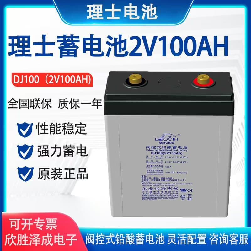 LEOCH 2V 100AH Valve-Regulated Sealed Lead-Acid Maintenance-Free Battery for UPS/EPS Power Supplies