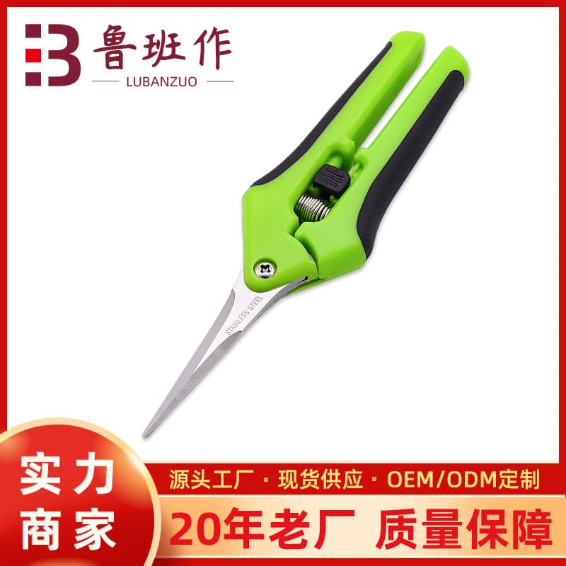 Stainless steel pruning shears for thinning fruit and branches, straight and curved tips, garden tools for grapes, vegetables, and horticulture.