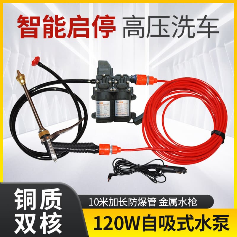 High Pressure Car Washer 220V Home Use Car Wash Pump 12V Vehicle Washer Portable Car Wash Water Gun