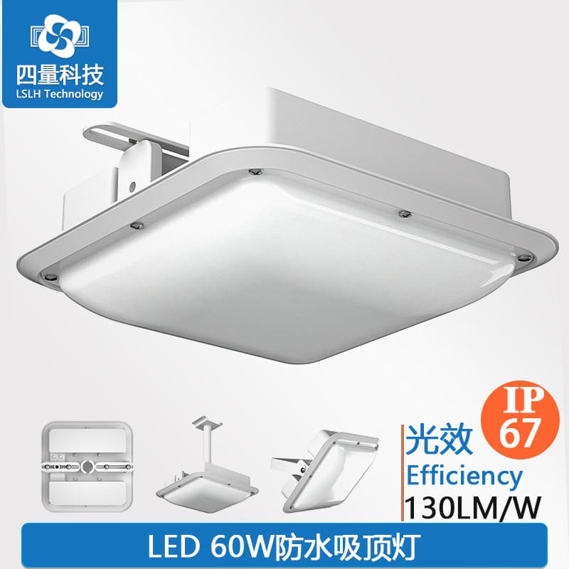 60W IP67 Explosion-proof Light for Gas Stations, Canopy Industrial and Mining Light, Eaves Light, High Bay Cold Storage Lighting, Warehouse Light