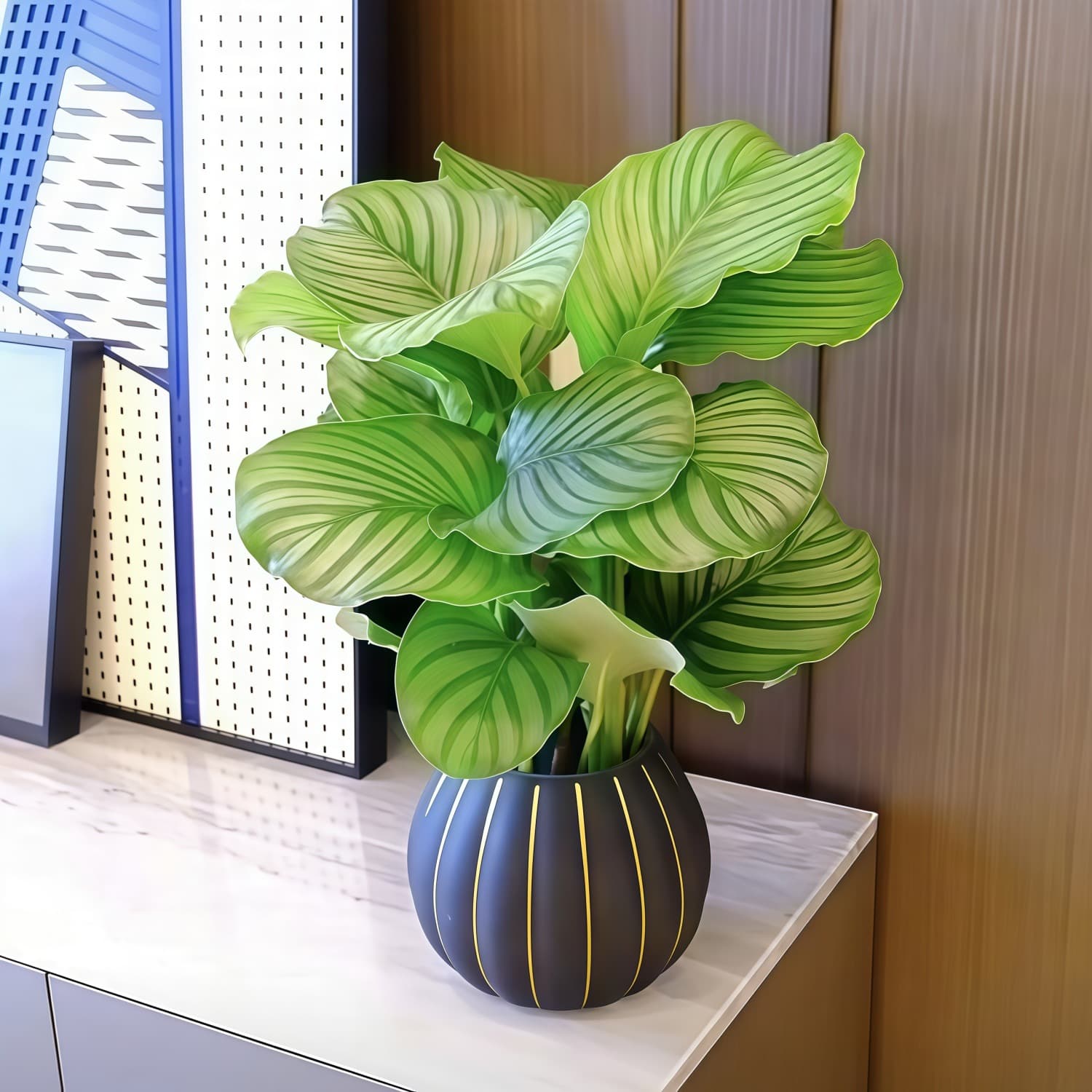 Green Apple Calathea Low-Maintenance Self-Watering Plant for Office Desk Indoor Greenery Potted Evergreen