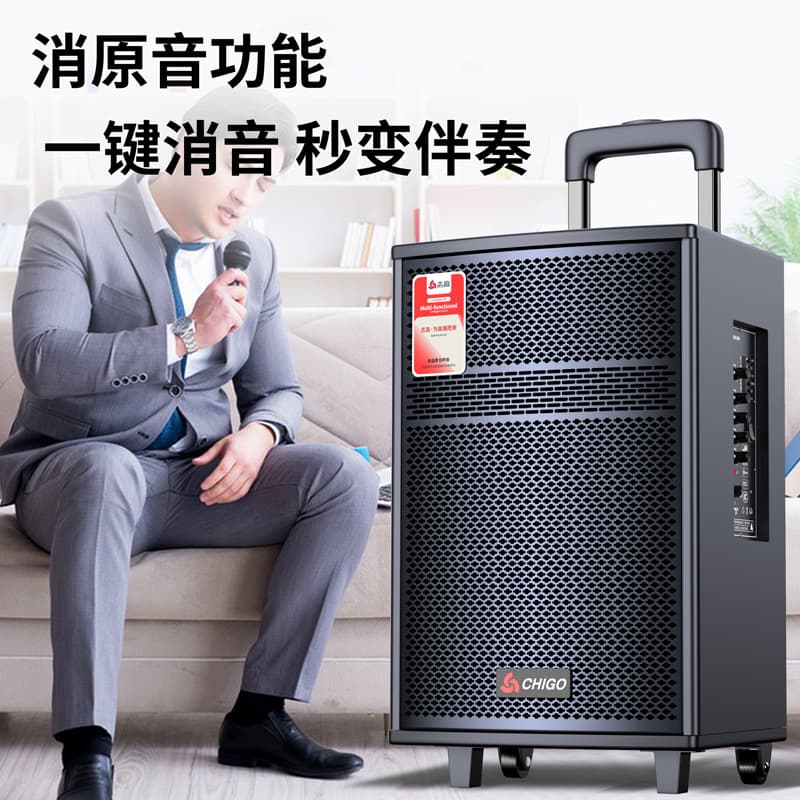 CHIGO Square Dance High Volume Wireless Bluetooth Speaker, Home Karaoke Multifunctional Outdoor High-Power Trolley Speaker