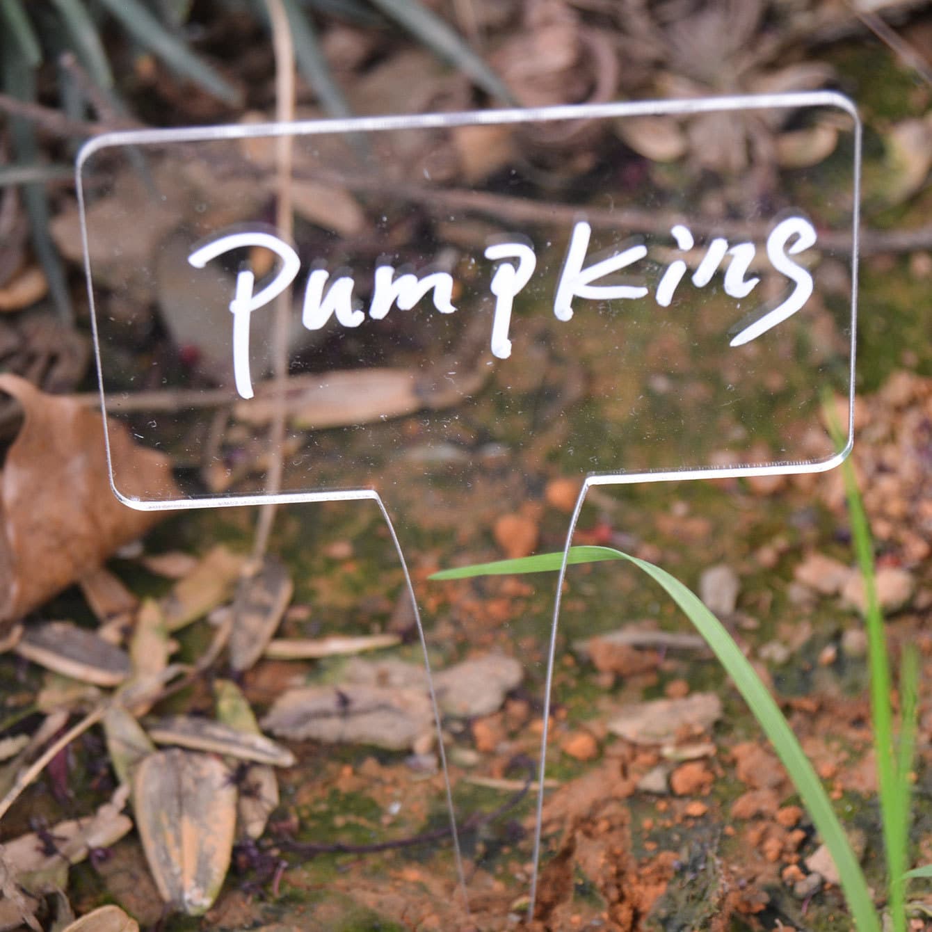 TY003 Garden Marker Plant/Flower/Potted Plant Marker