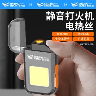 Multifunctional Outdoor Rechargeable Windproof Lighter, Waterproof Travel Ignition Fire Starter, Portable Camping Light