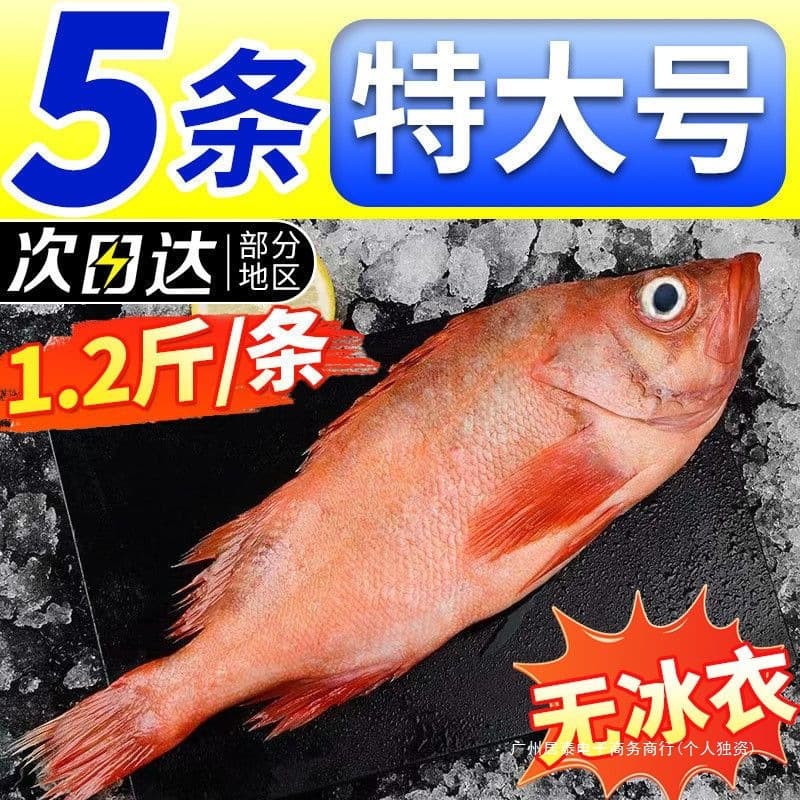 Big Red Frozen Sea Bream, Fresh Seafood, Live Silverfish, Red Sea Fish, Fortune Fish, Deep-Sea Seafood, Whole Sea Bass