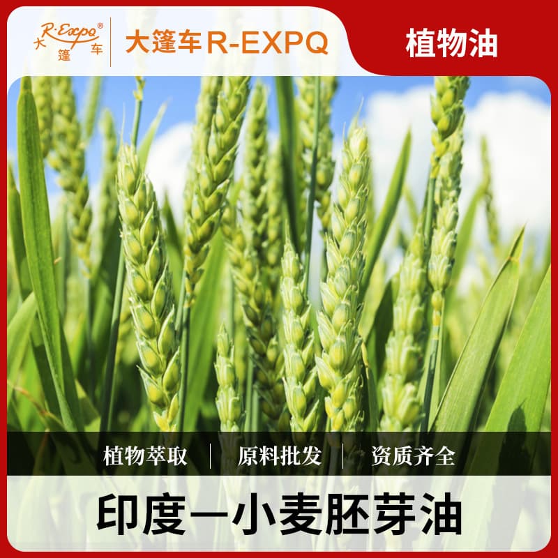 Wheat Germ Oil Indian Import Raw Material Wholesale Massage Base Vegetable Oil Carrier Oil