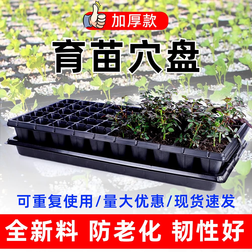 Seedling tray, plug tray, multi-succulent seedling tray, watermelon vegetable seedling tray, cutting multi-succulent thickened plastic seedling tray