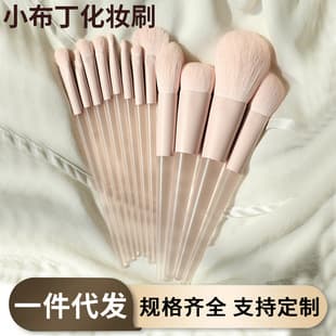 New Peach Pink Makeup Brush Set, Highlighter Blush Brush, Loose Powder Brush, Portable Beauty Tool Kit for Beginners