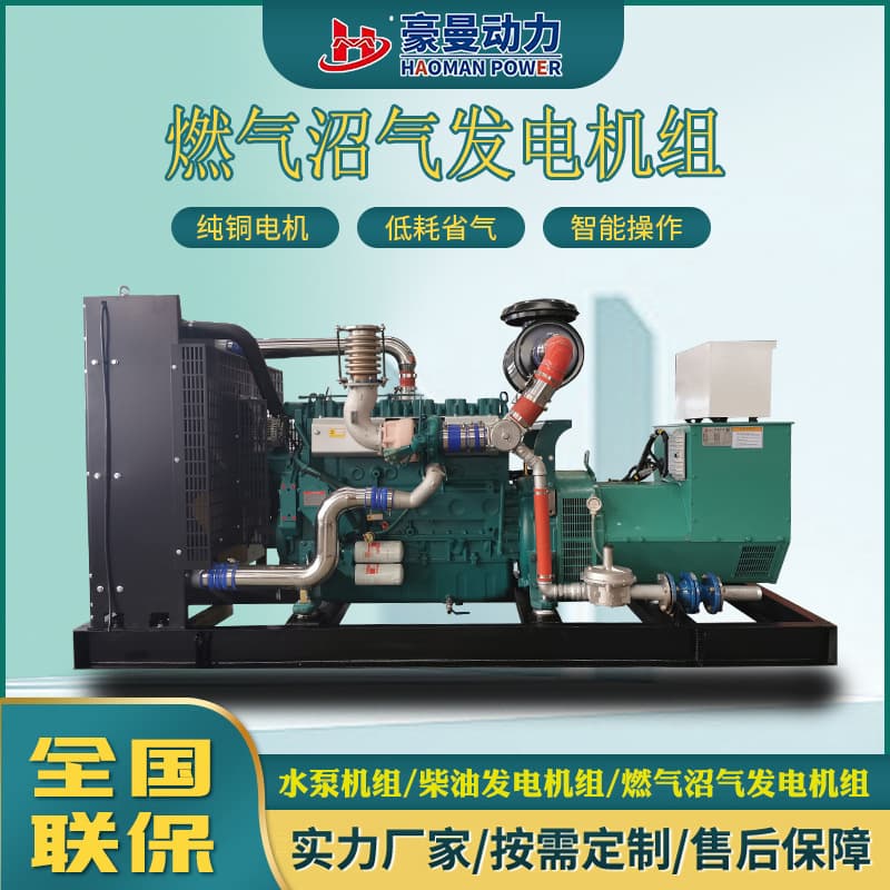 Biogas Generator Gas Generator Set 250KW 300kw 500kw 600kw Natural Gas Methanol Generator Set
