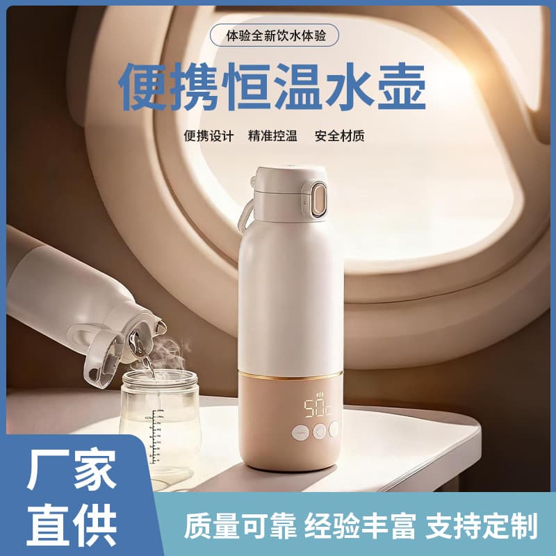 316 Stainless Steel Portable Thermostatic Kettle Home Travel Heating Cup Dorm Car Small Insulated Electric Hot Water Cup