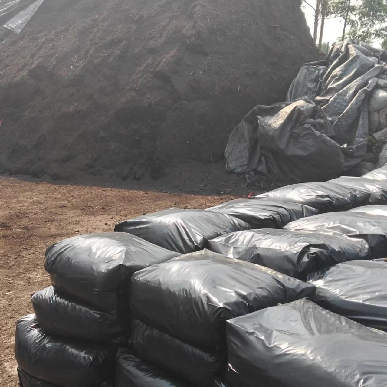 Factory Direct Organic Fertilizer Nutrient Soil Peat Soil Engineering Greening Peat Soil Rooftop Garden Lightweight Soil Planting Soil