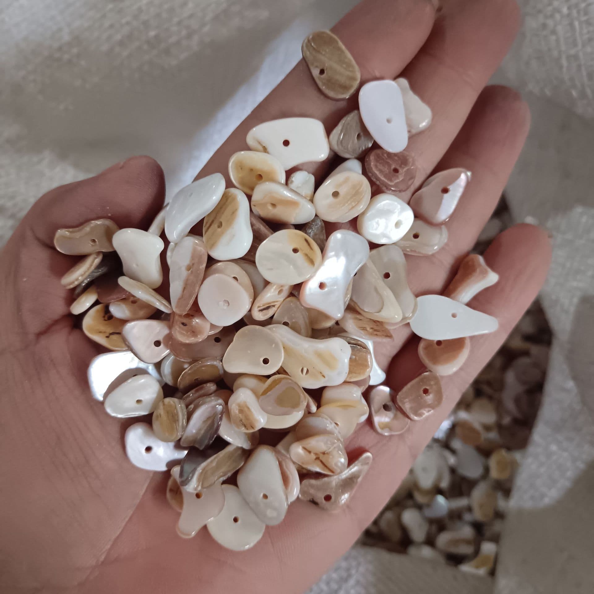 Perforated shells, colorful shell pieces, irregular shell gravel, small package, blue shell fragments, Amazon distribution