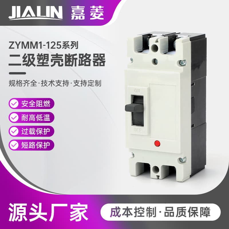 ZYMM1-125 Series Two-Stage Plastic-Cased Circuit Breaker, Low Voltage 200A Two-Phase/Single-Phase 500-1000 2P