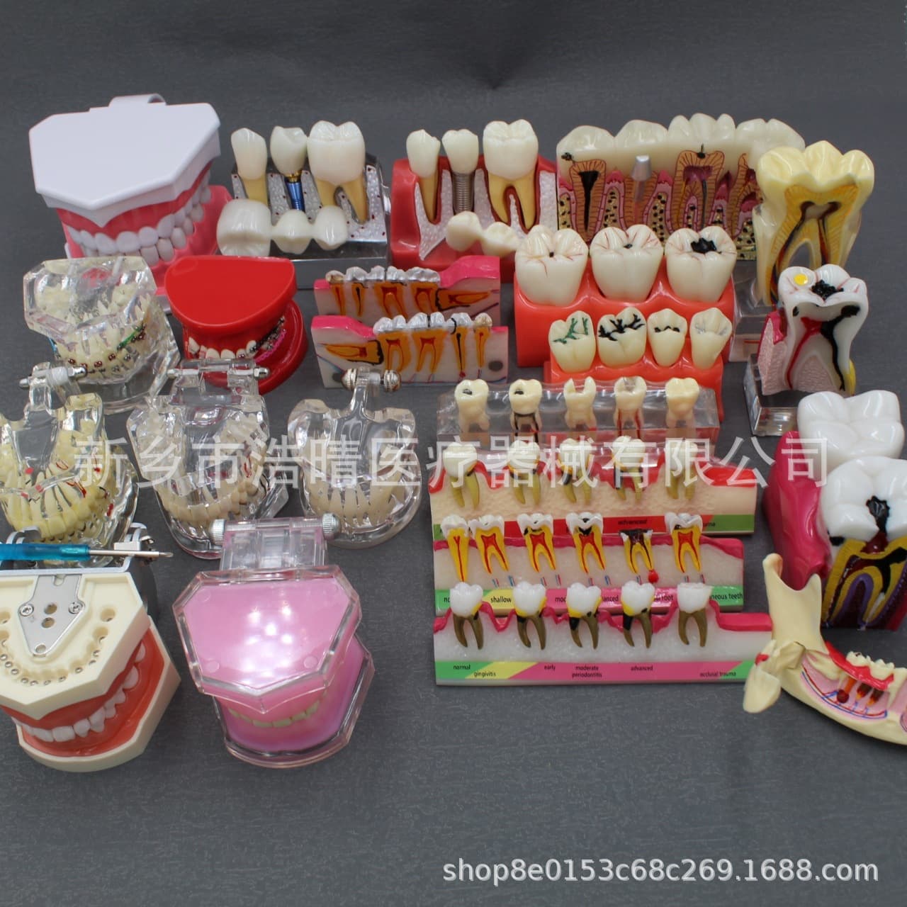 Dental teaching model, doctor-patient communication model, comprehensive case model, detachable dental model, implant restoration model