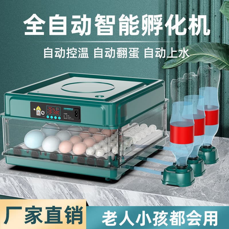 Mini Automatic Smart Incubator for Home Use, Small Incubator for Parrot, Chicken, Duck, Goose, Quail Eggs