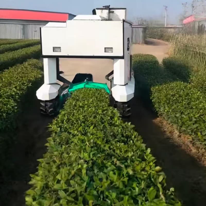 Tea-picking machine with tracked chassis, self-propelled tea garden tea-picking machine, Yunnan Hangzhou tea garden robot.