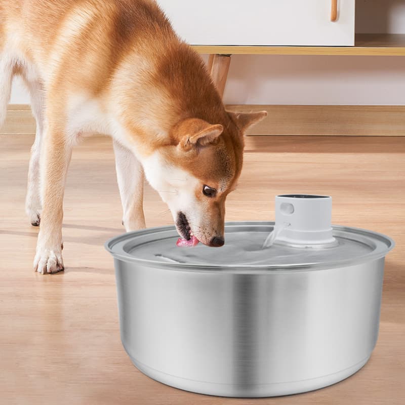 Stainless Steel Smart Pet Water Fountain Automatic Induction Cat Drinking Water Circulating Cat Water Dispenser with Filter