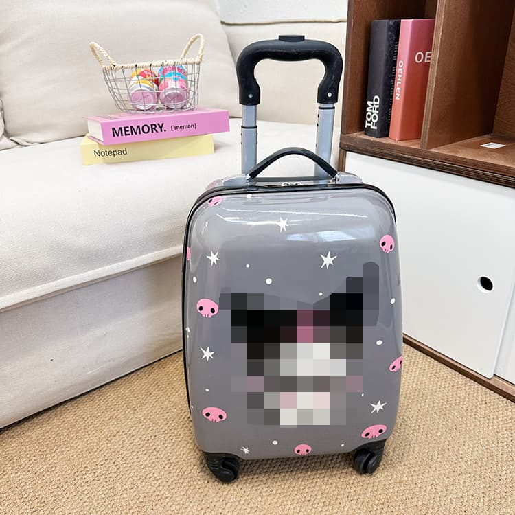 Children's Trolley Case 20-inch Cross-Border New Product 18-inch Elementary School Student Travel Suitcase Gift Box Password Cartoon Luggage