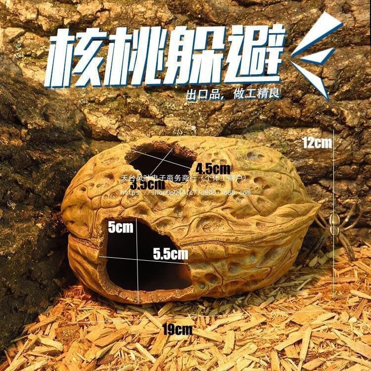 Pumpkin Walnut Reptile Shelter Rainforest Scorpion Gecko Lizard Cave Landscaping Reptile Cave Snake Nest Fortification