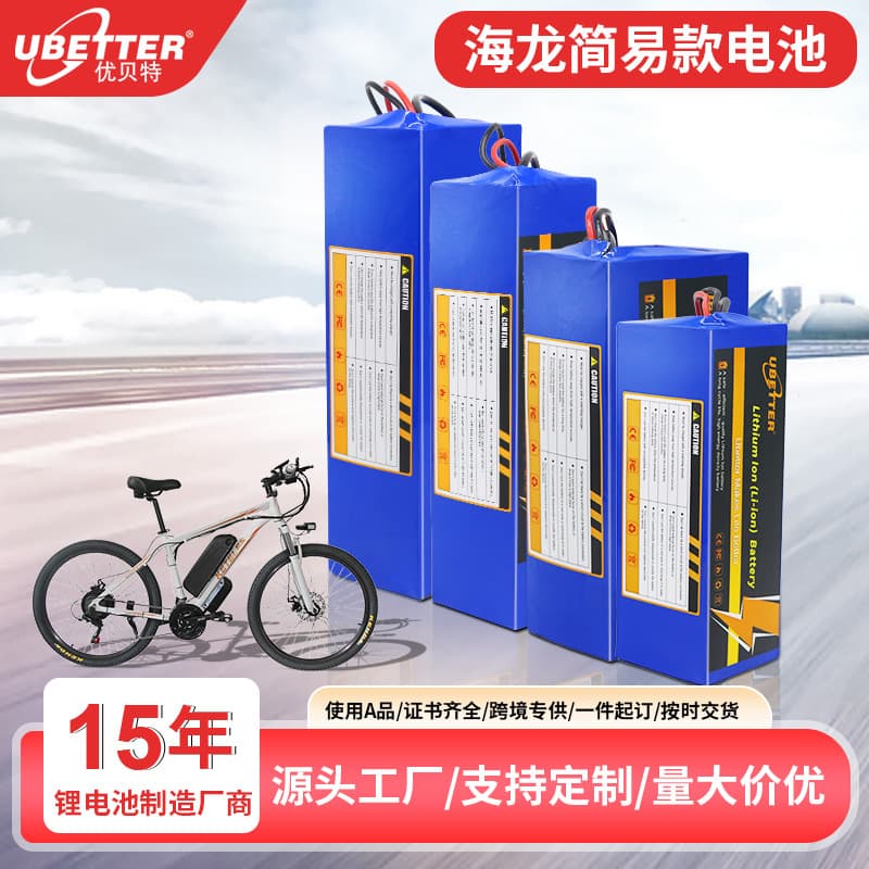 Electric Vehicle Lithium Battery 36V 48V Electric Mountain Bike Bicycle Hailong Style Large Capacity Power Lithium Battery