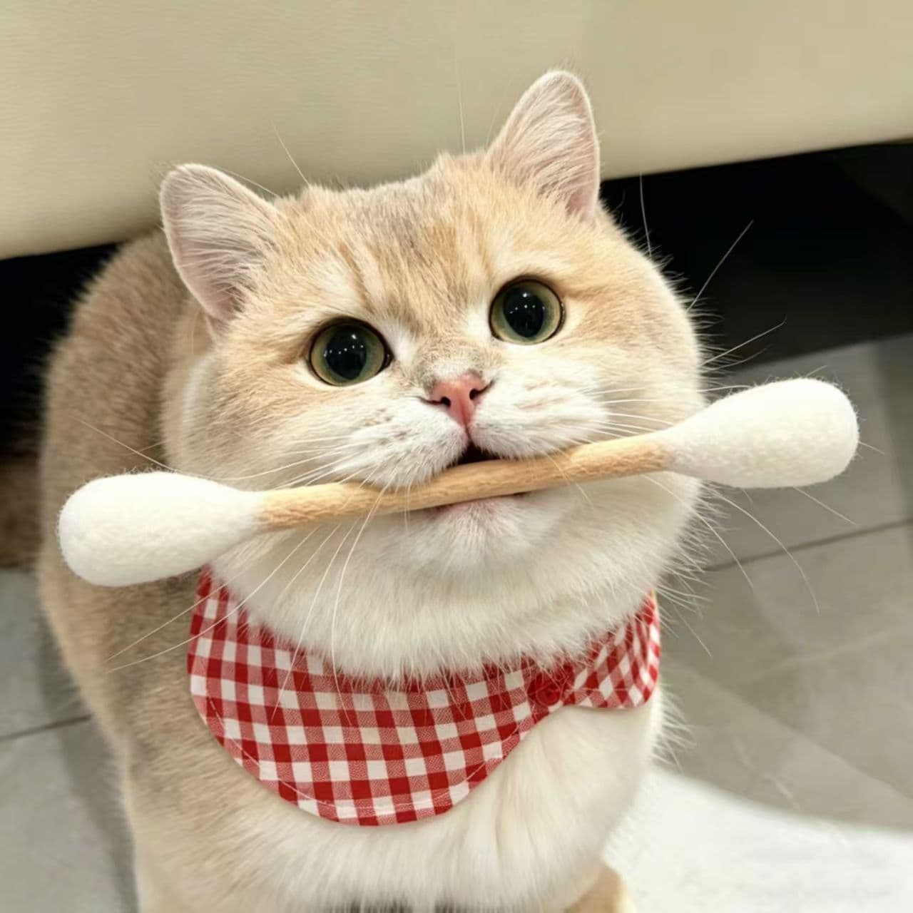Felt Catnip Stick Toy Wool Cat Toy Large Cotton Swab Stick Cat Toys